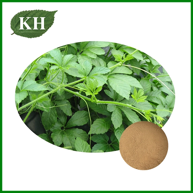 Gynostemma Extract Powder
